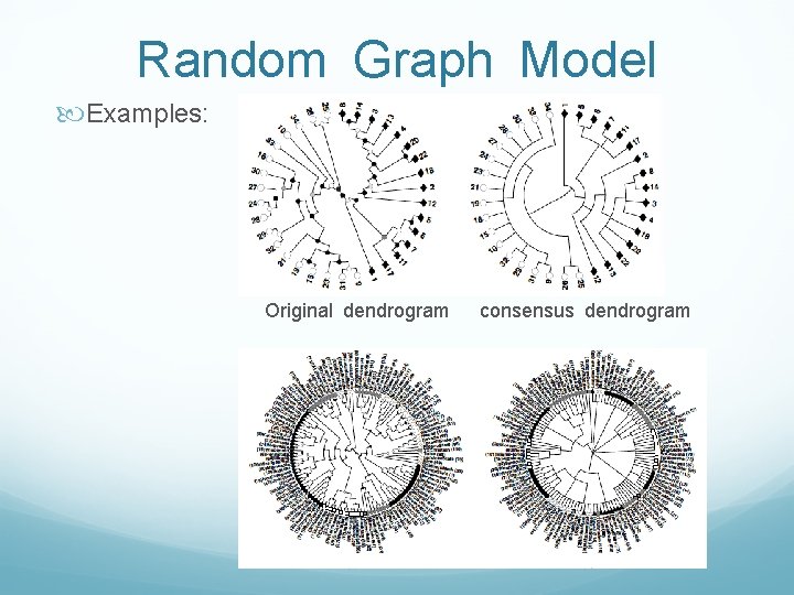 Random Graph Model Examples: Original dendrogram consensus dendrogram Random Graph Model Examples: Original dendrogram consensus dendrogram