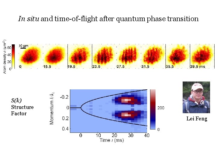 In situ and time-of-flight after quantum phase transition nk momentum population S(k) Structure Factor