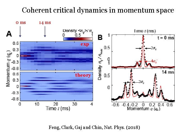 Coherent critical dynamics in momentum space 0 ms 14 ms exp theory Feng, Clark,