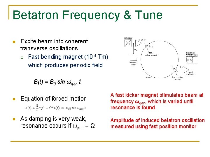 Betatron Frequency & Tune n Excite beam into coherent transverse oscillations. q Fast bending