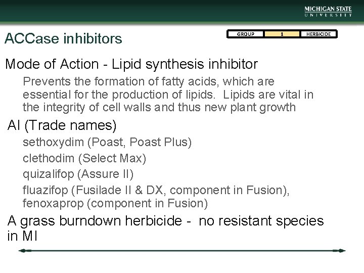 ACCase inhibitors GROUP 1 HERBICIDE Mode of Action - Lipid synthesis inhibitor Prevents the