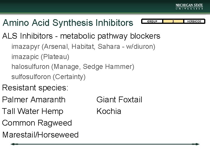 Amino Acid Synthesis Inhibitors GROUP ALS Inhibitors - metabolic pathway blockers imazapyr (Arsenal, Habitat,