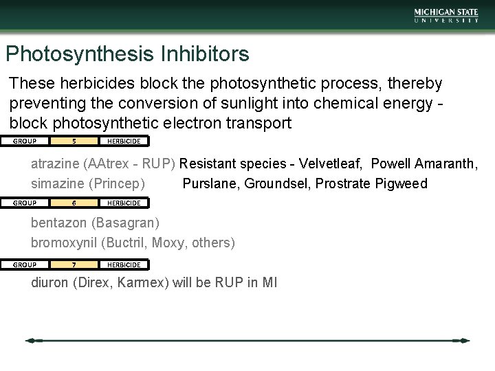 Photosynthesis Inhibitors These herbicides block the photosynthetic process, thereby preventing the conversion of sunlight
