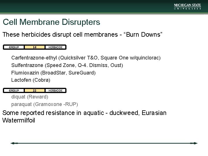 Cell Membrane Disrupters These herbicides disrupt cell membranes - “Burn Downs” GROUP 14 HERBICIDE