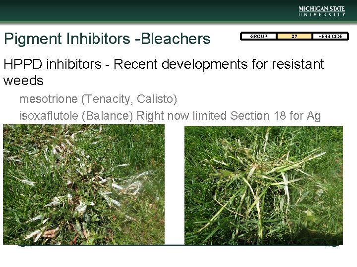 Pigment Inhibitors -Bleachers GROUP 27 HERBICIDE HPPD inhibitors - Recent developments for resistant weeds