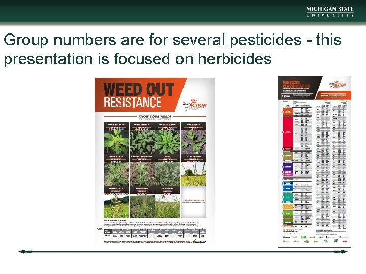 Group numbers are for several pesticides - this presentation is focused on herbicides 