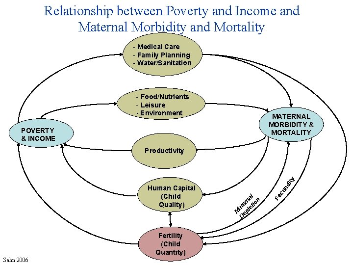 Relationship between Poverty and Income and Maternal Morbidity and Mortality - Medical Care -