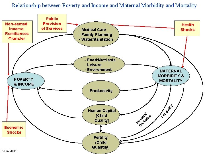 Relationship between Poverty and Income and Maternal Morbidity and Mortality Non-earned Income -Remittances -Transfer