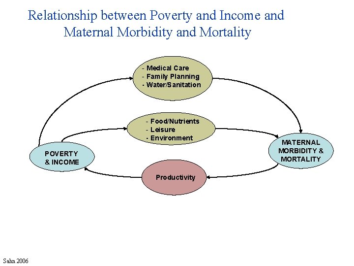Relationship between Poverty and Income and Maternal Morbidity and Mortality - Medical Care -