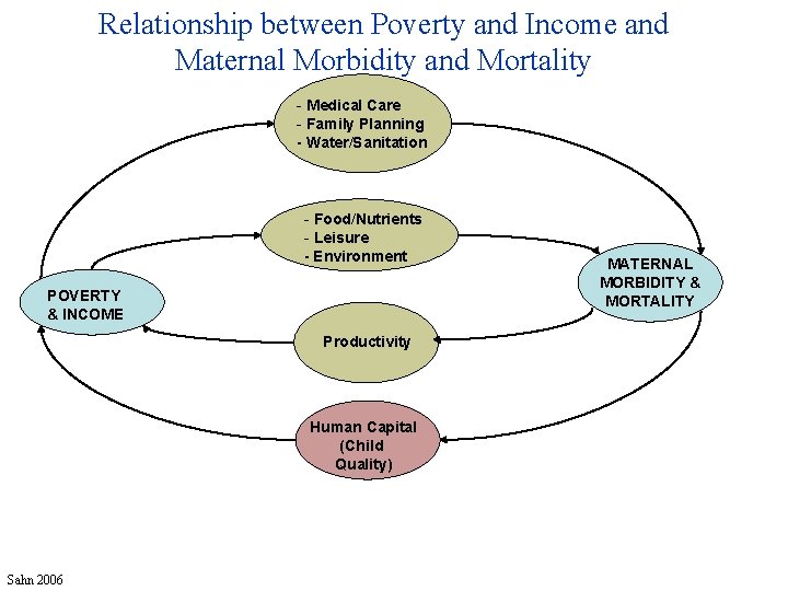 Relationship between Poverty and Income and Maternal Morbidity and Mortality - Medical Care -