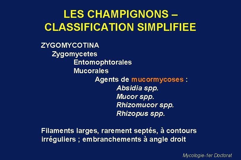 LES CHAMPIGNONS – CLASSIFICATION SIMPLIFIEE ZYGOMYCOTINA Zygomycetes Entomophtorales Mucorales Agents de mucormycoses : Absidia