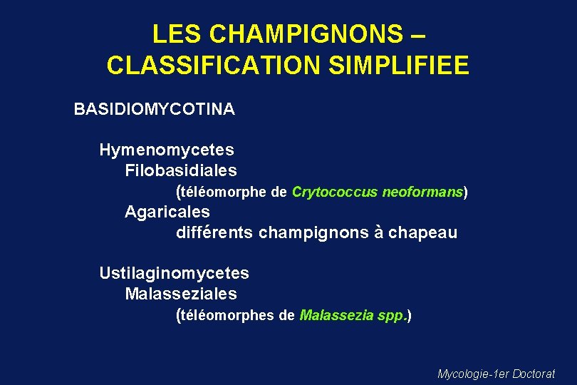 LES CHAMPIGNONS – CLASSIFICATION SIMPLIFIEE BASIDIOMYCOTINA Hymenomycetes Filobasidiales (téléomorphe de Crytococcus neoformans) Agaricales différents