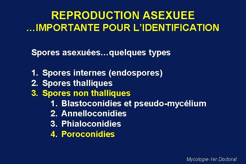 REPRODUCTION ASEXUEE …IMPORTANTE POUR L’IDENTIFICATION Spores asexuées…quelques types 1. Spores internes (endospores) 2. Spores