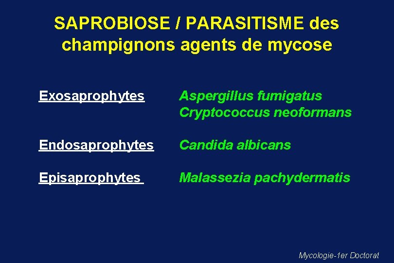 SAPROBIOSE / PARASITISME des champignons agents de mycose Exosaprophytes Aspergillus fumigatus Cryptococcus neoformans Endosaprophytes