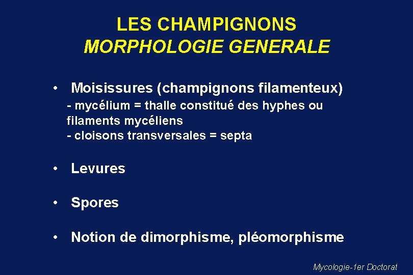 LES CHAMPIGNONS MORPHOLOGIE GENERALE • Moisissures (champignons filamenteux) - mycélium = thalle constitué des