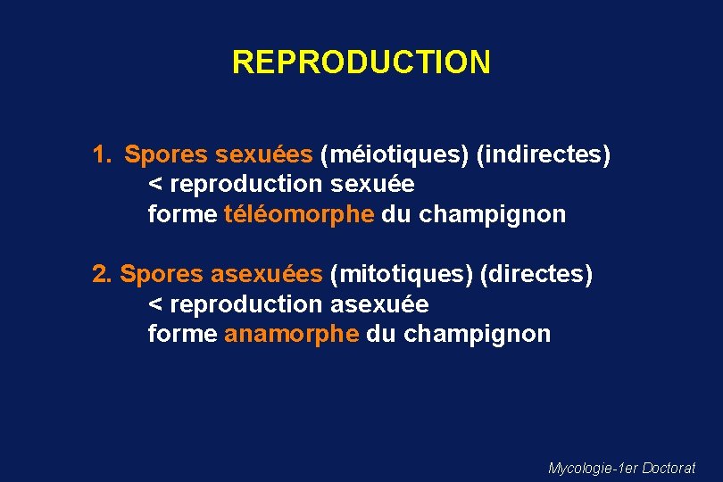 REPRODUCTION 1. Spores sexuées (méiotiques) (indirectes) < reproduction sexuée forme téléomorphe du champignon 2.