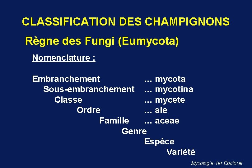 CLASSIFICATION DES CHAMPIGNONS Règne des Fungi (Eumycota) Nomenclature : Embranchement … mycota Sous-embranchement …