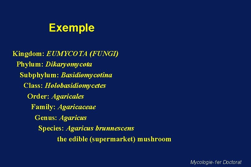 Exemple Kingdom: EUMYCOTA (FUNGI) Phylum: Dikaryomycota Subphylum: Basidiomycotina Class: Holobasidiomycetes Order: Agaricales Family: Agaricaceae