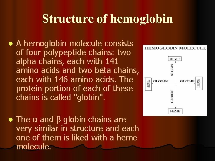 Structure of hemoglobin l A hemoglobin molecule consists of four polypeptide chains: two alpha