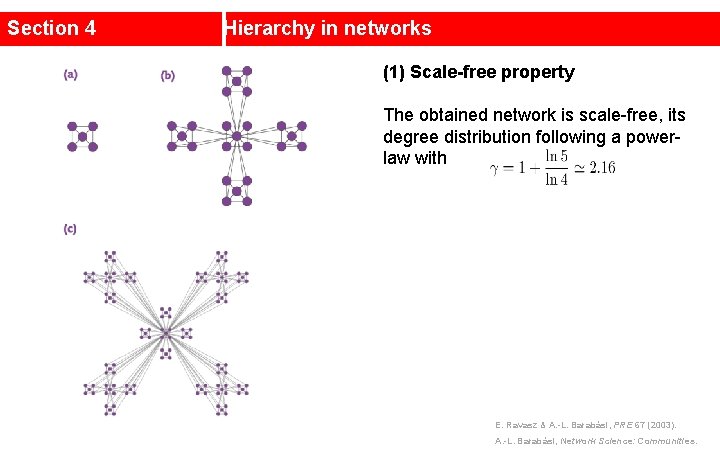 Section 4 Hierarchy in networks (1) Scale-free property The obtained network is scale-free, its