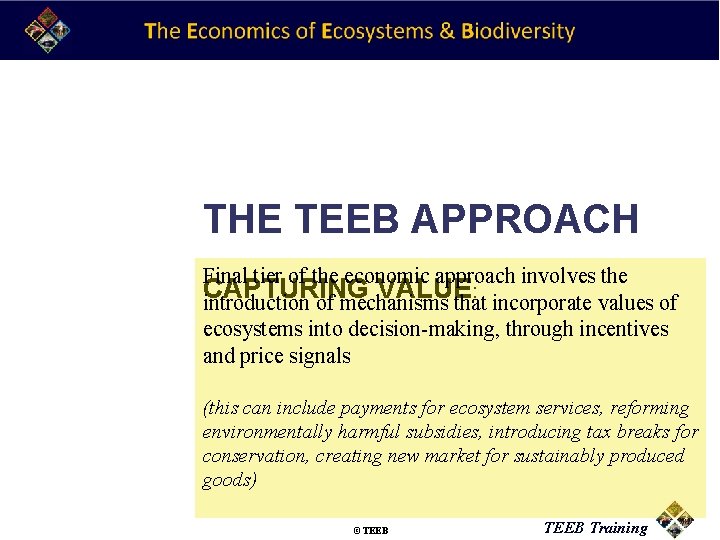 THE TEEB APPROACH Final tier of the economic approach involves the CAPTURING VALUE: introduction