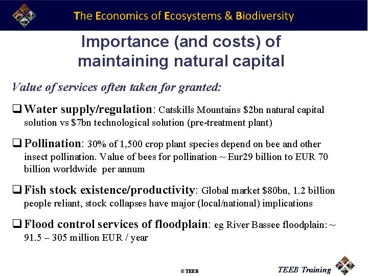 Importance (and costs) of maintaining natural capital Value of services often taken for granted: