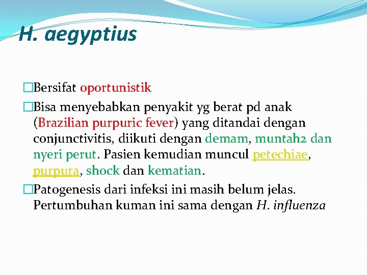 H. aegyptius �Bersifat oportunistik �Bisa menyebabkan penyakit yg berat pd anak (Brazilian purpuric fever)