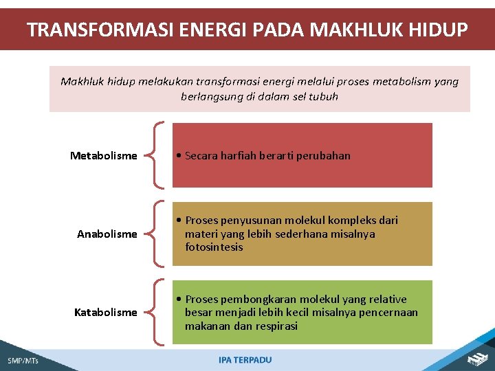 TRANSFORMASI ENERGI PADA MAKHLUK HIDUP Makhluk hidup melakukan transformasi energi melalui proses metabolism yang