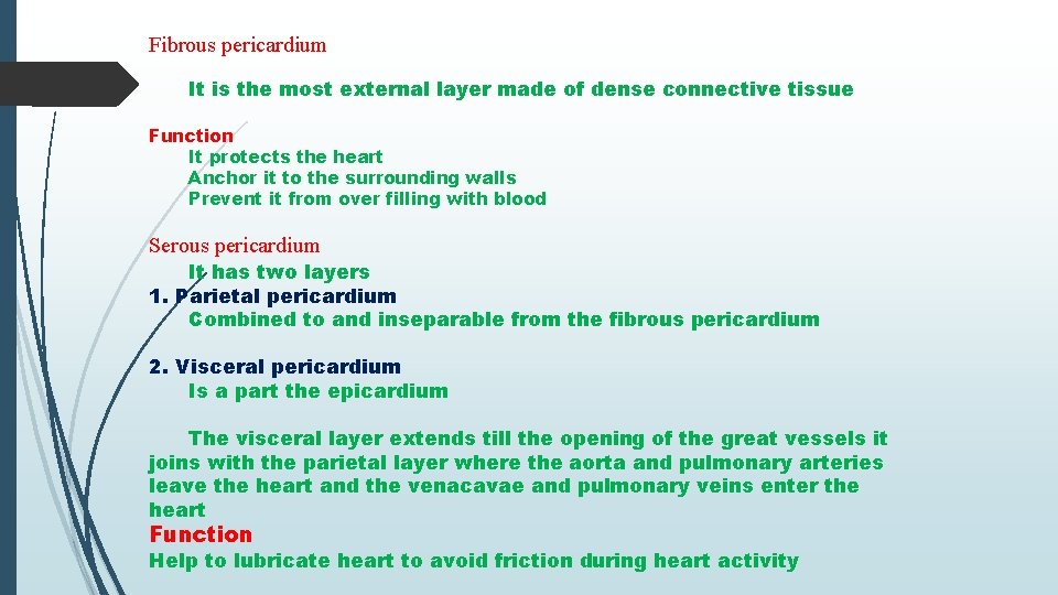 Fibrous pericardium It is the most external layer made of dense connective tissue Function