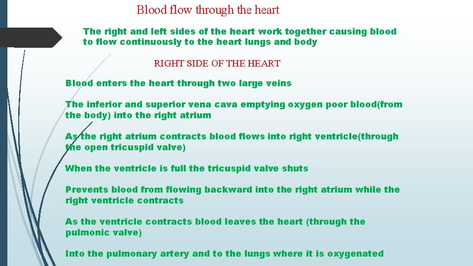 Blood flow through the heart The right and left sides of the heart work