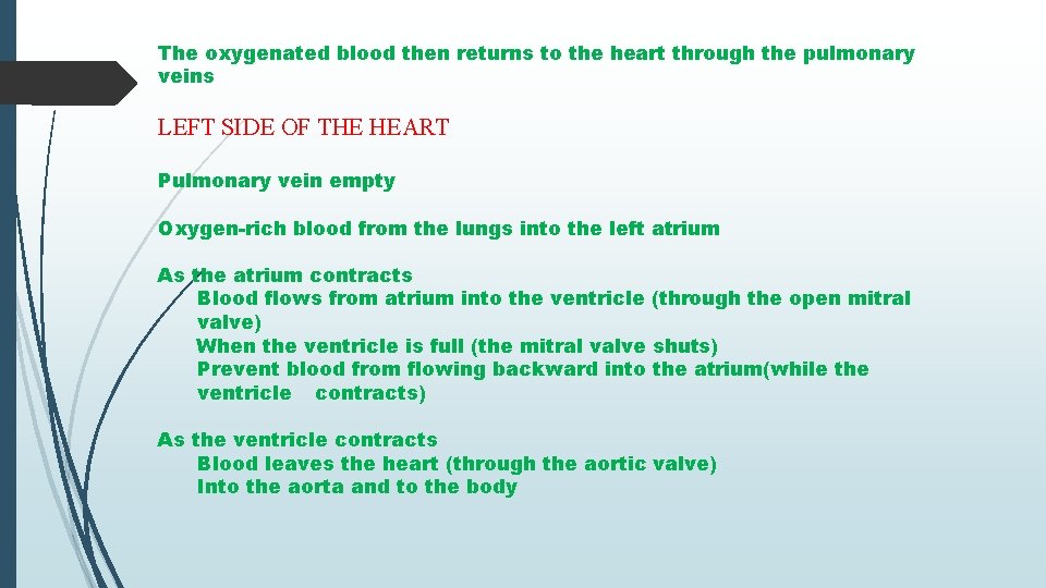 The oxygenated blood then returns to the heart through the pulmonary veins LEFT SIDE