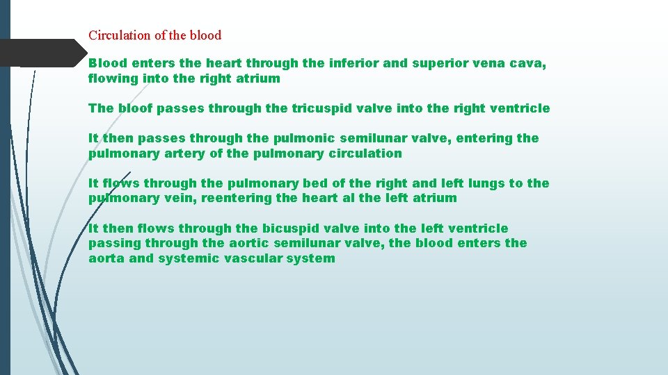 Circulation of the blood Blood enters the heart through the inferior and superior vena