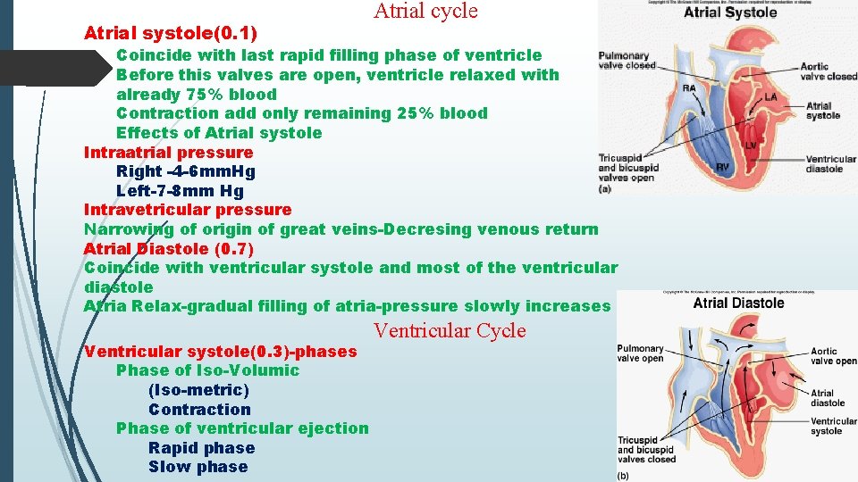 Atrial systole(0. 1) Atrial cycle Coincide with last rapid filling phase of ventricle Before