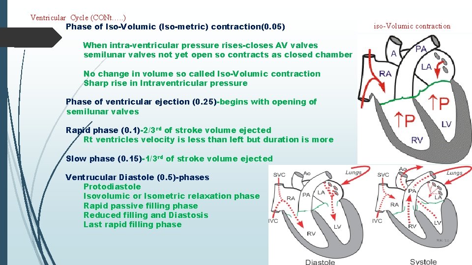 Ventricular Cycle (CONt…. . ) Phase of Iso-Volumic (Iso-metric) contraction(0. 05) When intra-ventricular pressure