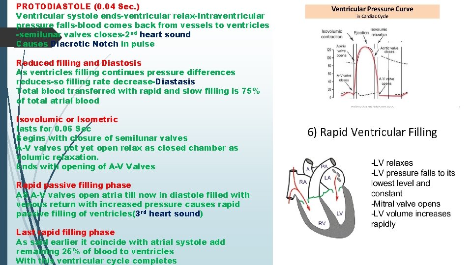 PROTODIASTOLE (0. 04 Sec. ) Ventricular systole ends-ventricular relax-Intraventricular pressure falls-blood comes back from