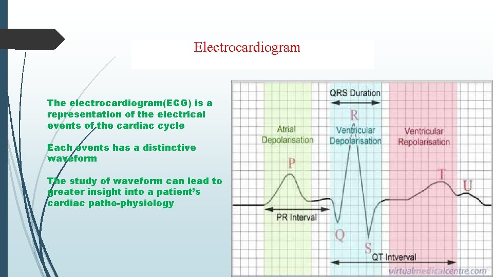 Electrocardiogram The electrocardiogram(ECG) is a representation of the electrical events of the cardiac cycle