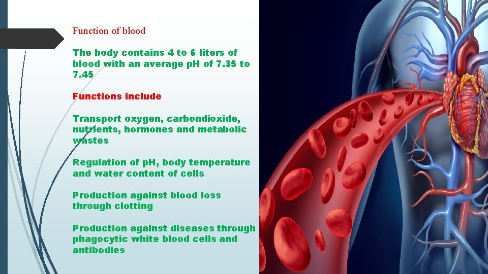 Function of blood The body contains 4 to 6 liters of blood with an