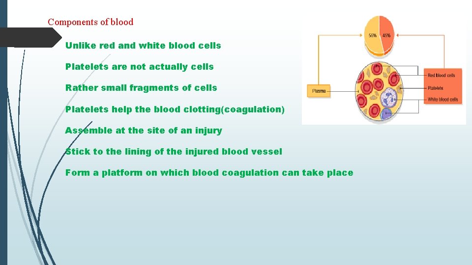 Components of blood Unlike red and white blood cells Platelets are not actually cells