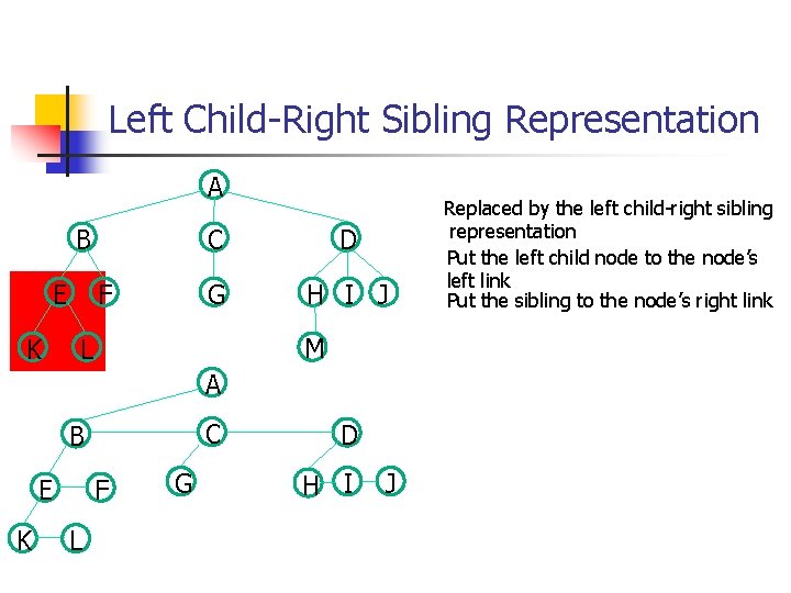 Left Child-Right Sibling Representation A B E K F C D G H I Left Child-Right Sibling Representation A B E K F C D G H I