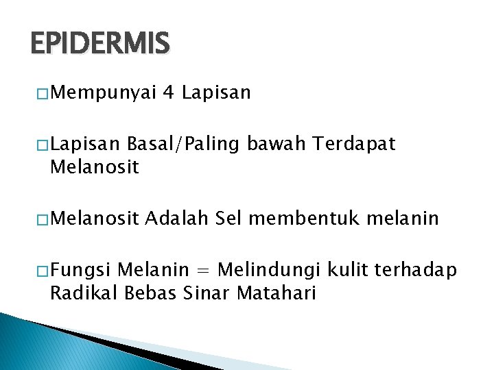 EPIDERMIS � Mempunyai 4 Lapisan � Lapisan Basal/Paling bawah Terdapat Melanosit � Fungsi Adalah