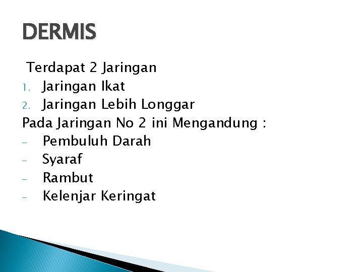 DERMIS Terdapat 2 Jaringan 1. Jaringan Ikat 2. Jaringan Lebih Longgar Pada Jaringan No