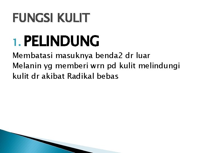 FUNGSI KULIT 1. PELINDUNG Membatasi masuknya benda 2 dr luar Melanin yg memberi wrn