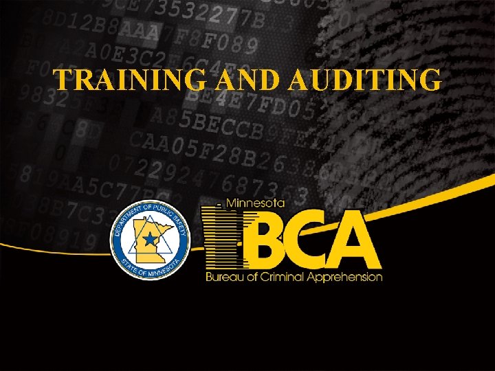 TRAINING AND AUDITING 