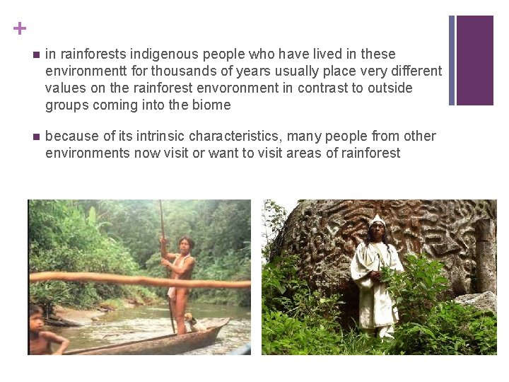 + n in rainforests indigenous people who have lived in these environmentt for thousands