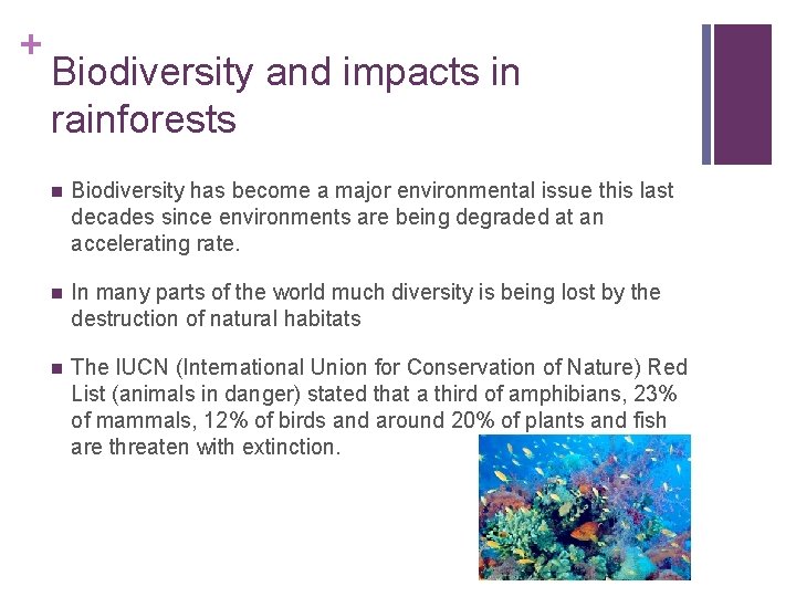 + Biodiversity and impacts in rainforests n Biodiversity has become a major environmental issue