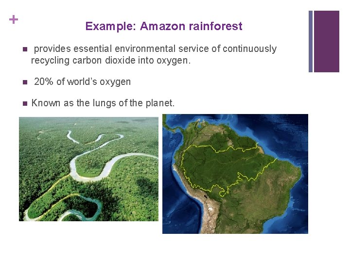 + Example: Amazon rainforest n n n provides essential environmental service of continuously recycling