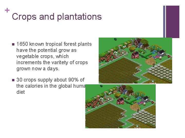 + Crops and plantations n 1650 known tropical forest plants have the potential grow
