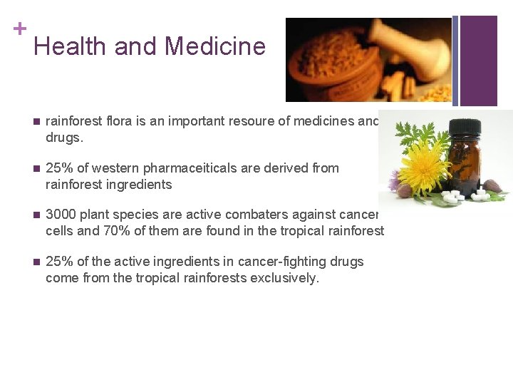 + Health and Medicine n rainforest flora is an important resoure of medicines and