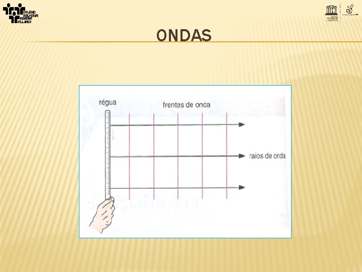 ONDAS 