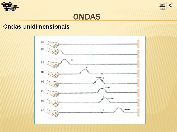 ONDAS Ondas unidimensionais 